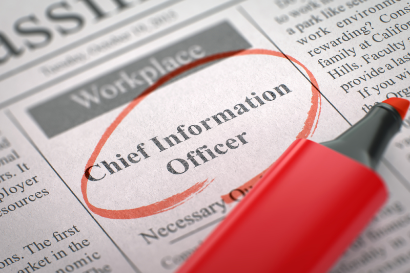 virtual cio vcio Chief Information Officer